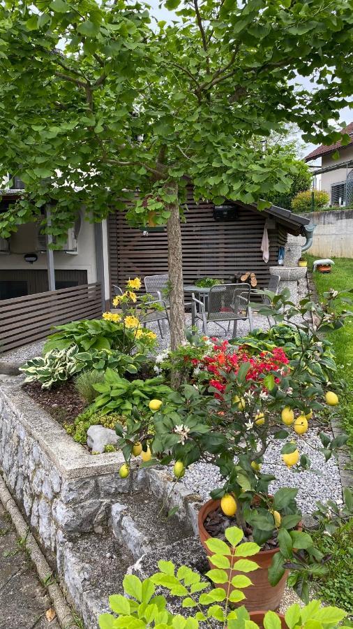 Apartma Nomad Novo Mesto Esterno foto